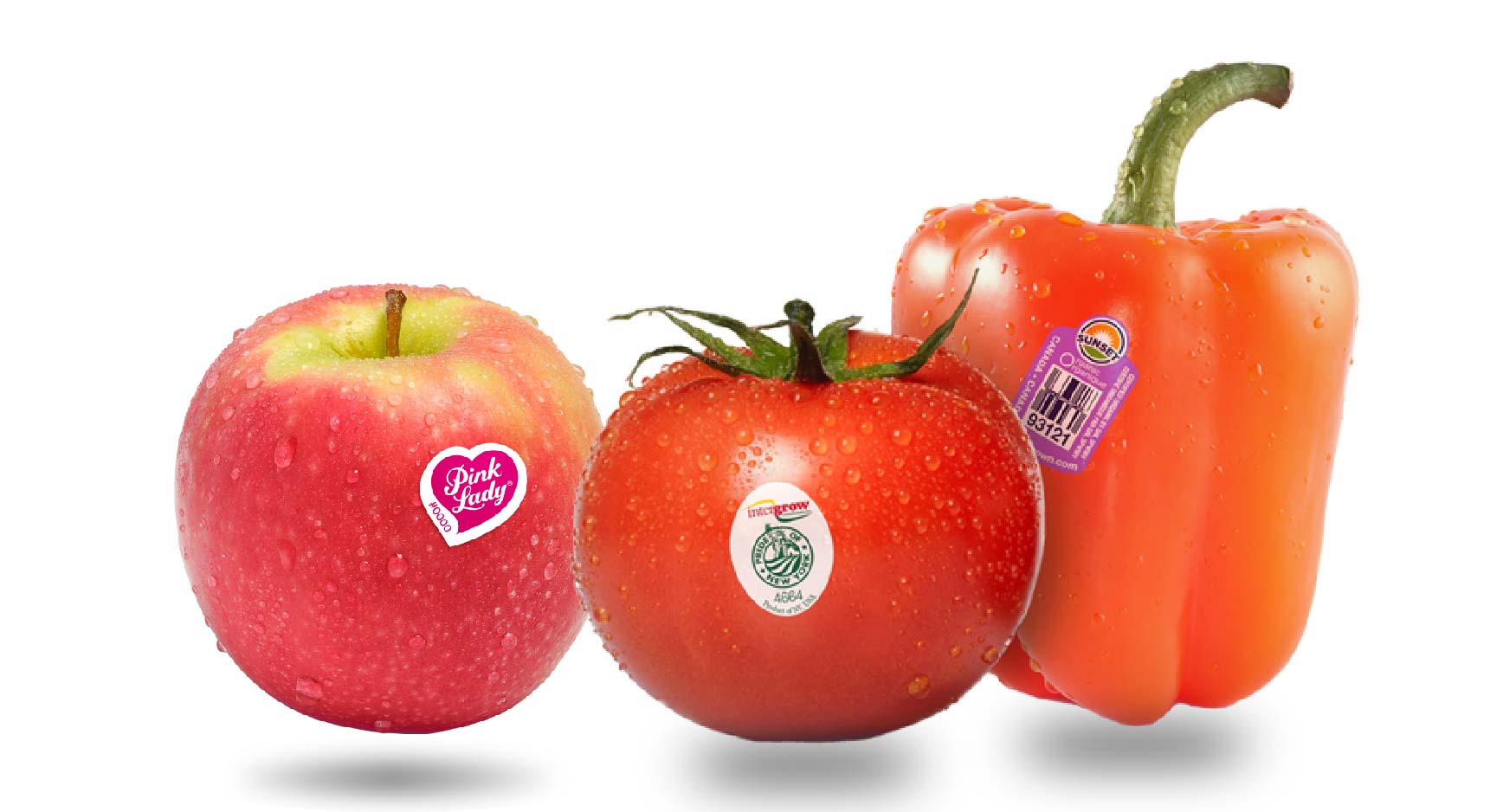 Read more about the article Fruit Labels